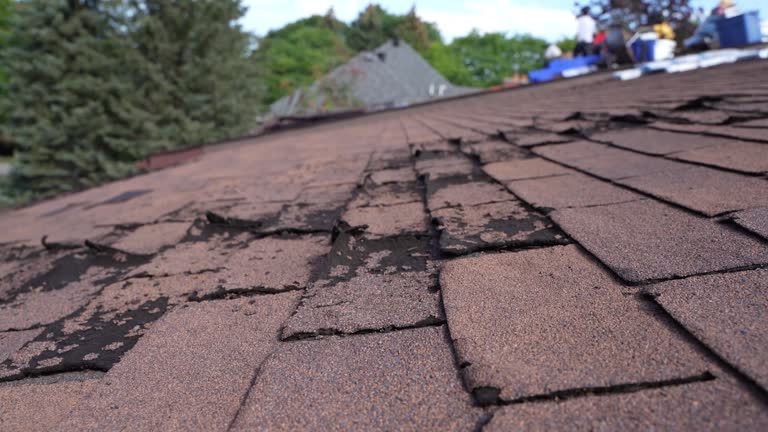 Best Emergency Roof Repair Services  in West Freehold, NJ